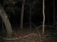 Chicago Ghost Hunters Group investigates Robinson Woods (195).JPG